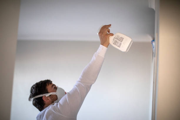 Best Toxic Mold Removal  in Elgin, OR