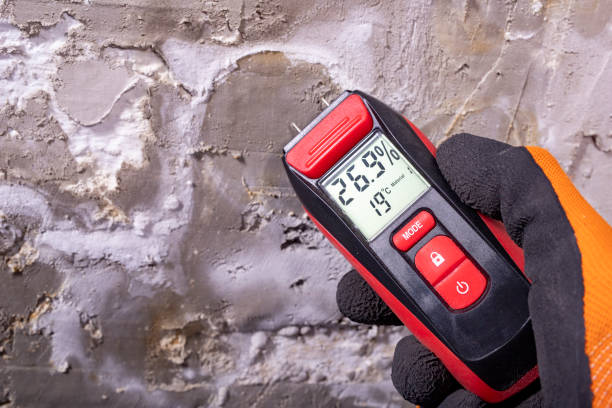 Best Attic Mold Removal  in Elgin, OR